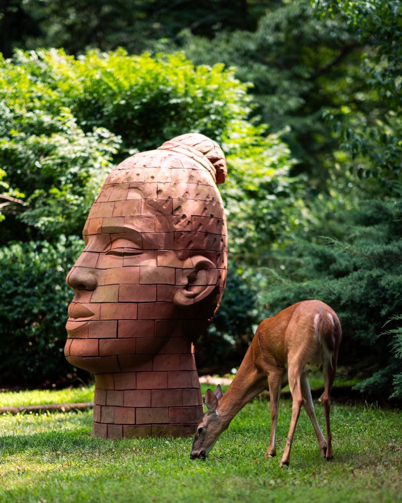 Outdoor Sculptures Hidden In Plain Sight