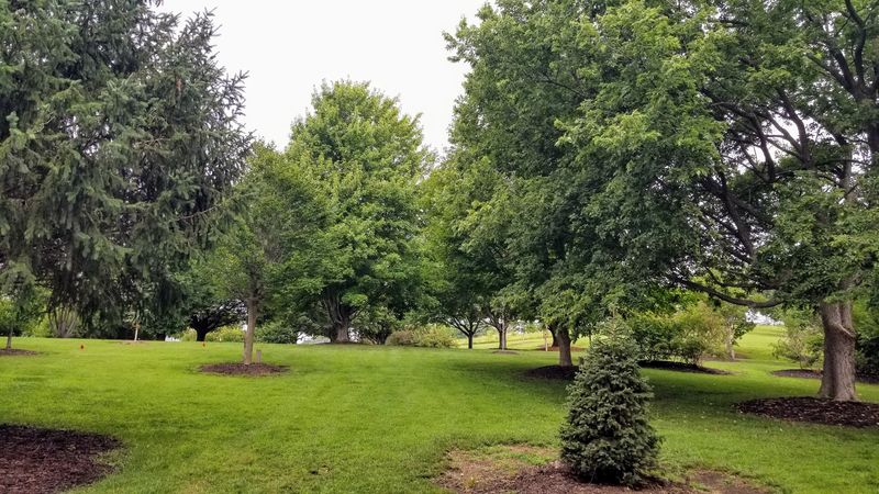 Over 1,000 Trees and 200 Species Waiting to Be Explored Over 1,000 Trees and 200 Species Waiting to Be Explored