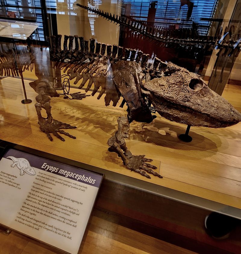 Over 1,700 Species Spanning Millions of Years