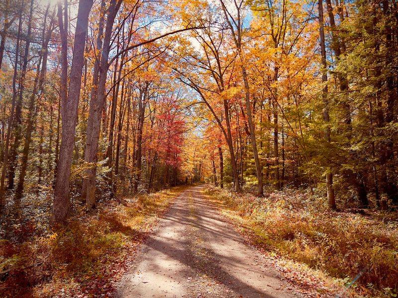 Over 300 Miles of Trails: Finding Your Perfect Path