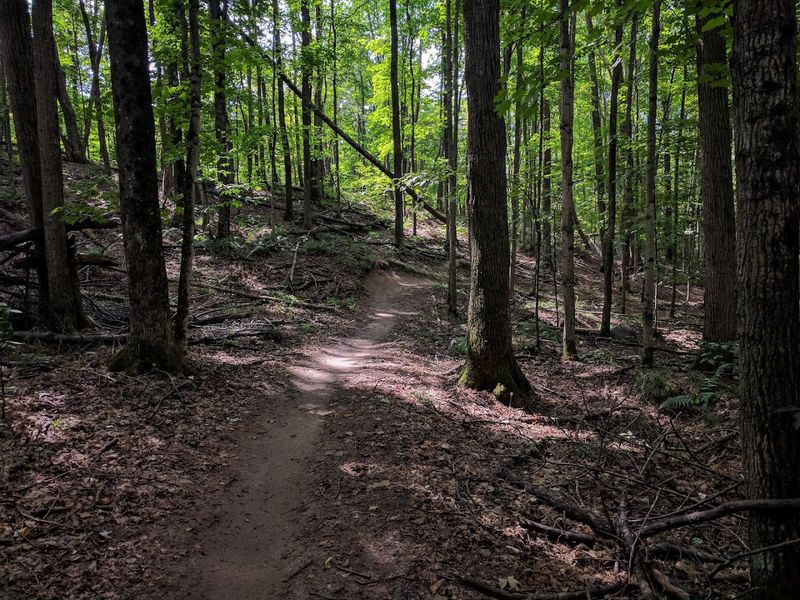 Over 300 Miles of Trails for Those Who Like to Move Over 300 Miles of Trails for Those Who Like to Move