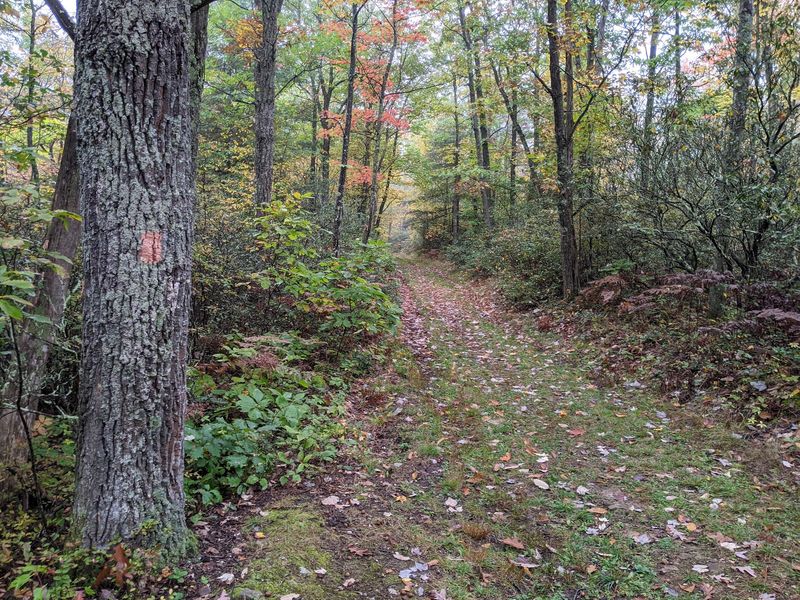 Over 600 Miles of Trails for Every Kind of Adventurer Over 600 Miles of Trails for Every Kind of Adventurer
