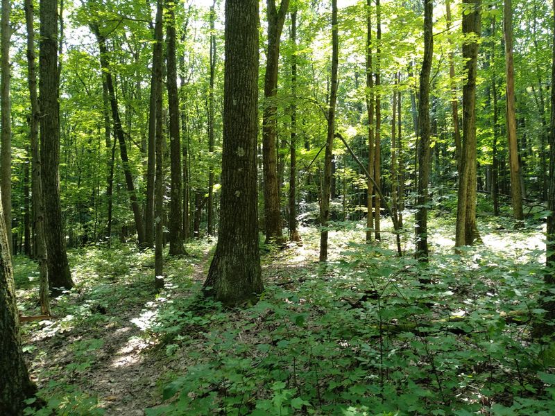 Over 600 Miles of Trails for Hikers and Backpackers of Every Skill Level Over 600 Miles of Trails for Hikers and Backpackers of Every Skill Level
