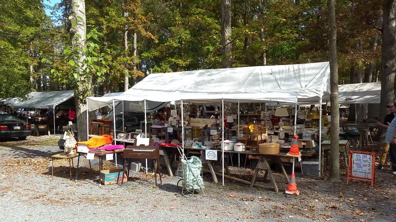 Over Six Decades of History Behind the Grove Over Six Decades of History Behind the Grove