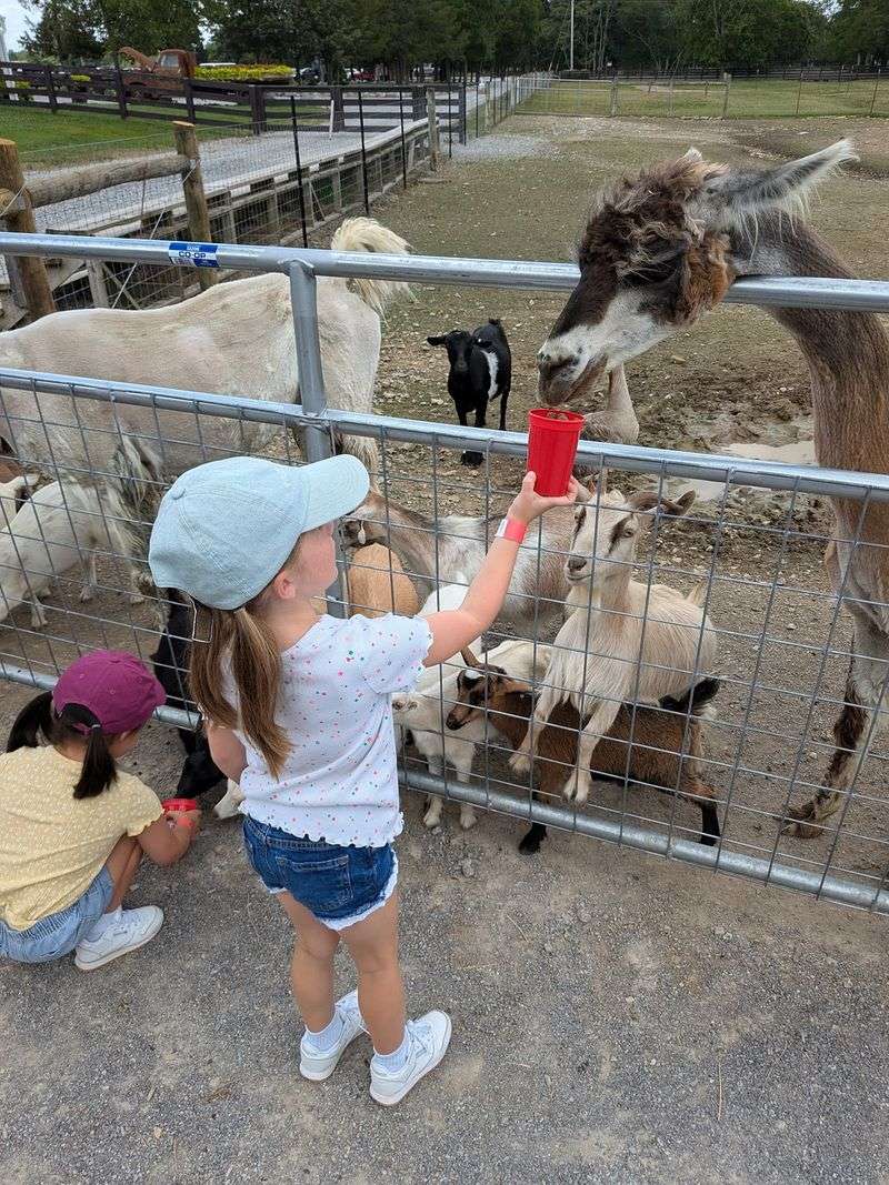 Over a Hundred Animals to Meet Over a Hundred Animals to Meet