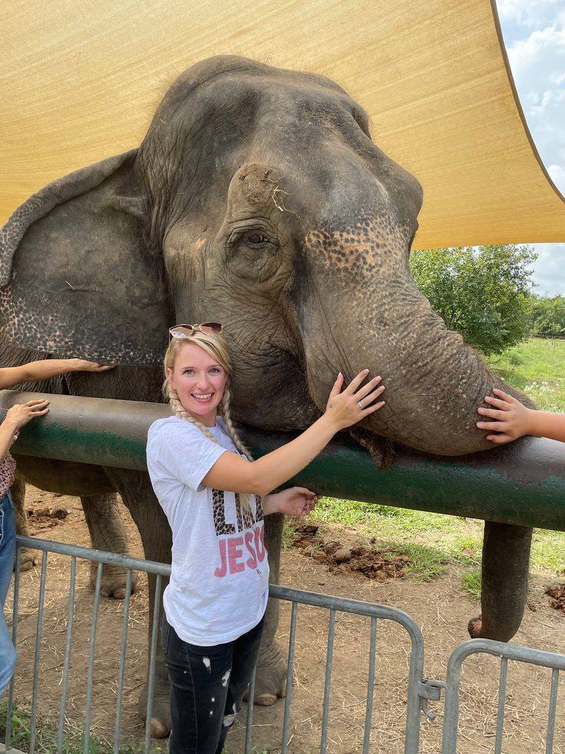 Overnight Stays: Cabins, Treehouses, and Breakfast Delivered by an Elephant Overnight Stays: Cabins, Treehouses, and Breakfast Delivered by an Elephant