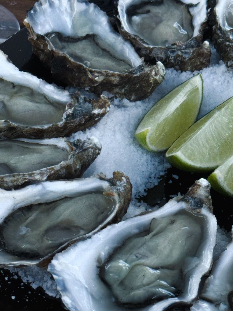 Oysters Do Not Have a Centralized Brain Oysters Do Not Have a Centralized Brain