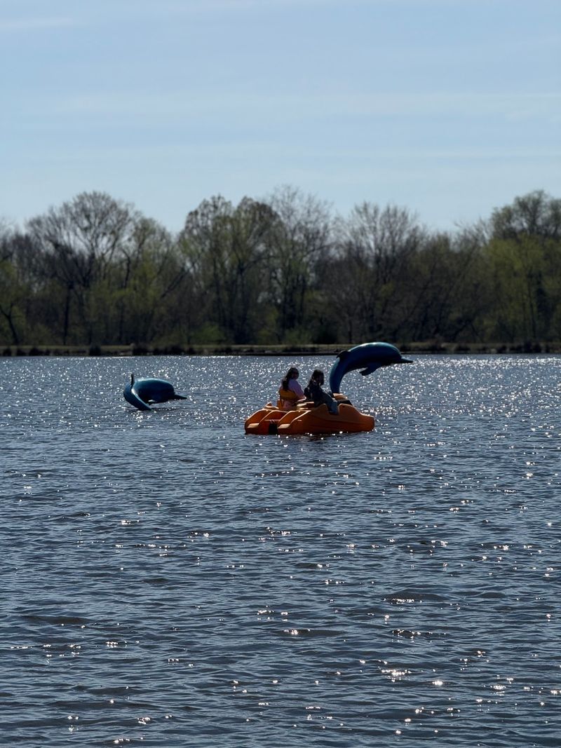 Paddle Boats, Kayaks, and a Saltwater Pool Paddle Boats, Kayaks, and a Saltwater Pool