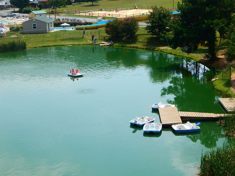 Paddle Boats and a Little Fishing Pond Paddle Boats and a Little Fishing Pond