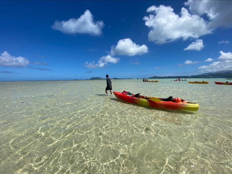 Paddle Power and a Lone Island Target Paddle Power and a Lone Island Target