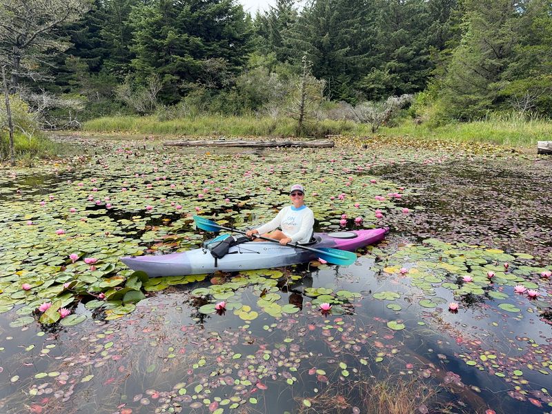 Paddling Across Calm, Lily-Dotted Waters
