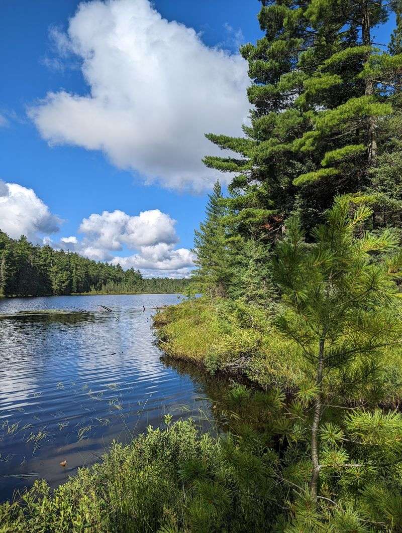 Paddling the Bays and Arms of the Lake Paddling the Bays and Arms of the Lake
