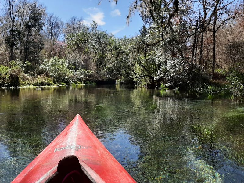 Paddling the Ichetucknee River Paddling the Ichetucknee River