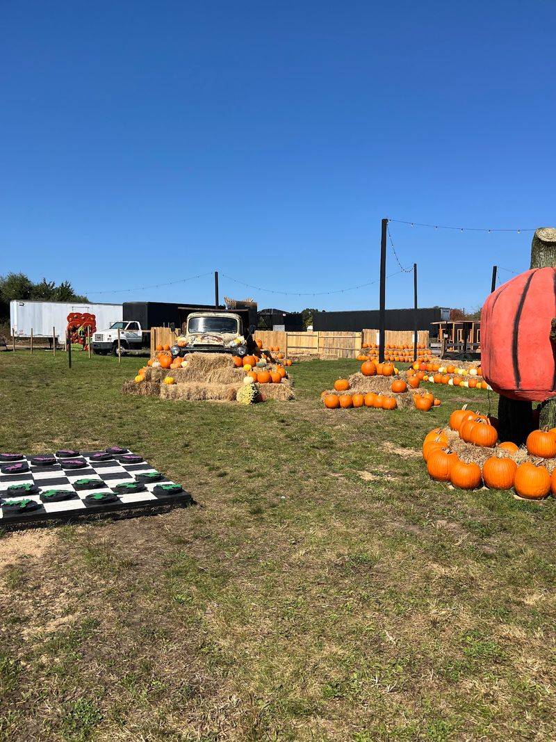 Paint Your Own Pumpkin This Fall Paint Your Own Pumpkin This Fall