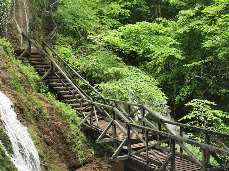 Papuk Nature Park, Croatia Papuk Nature Park, Croatia