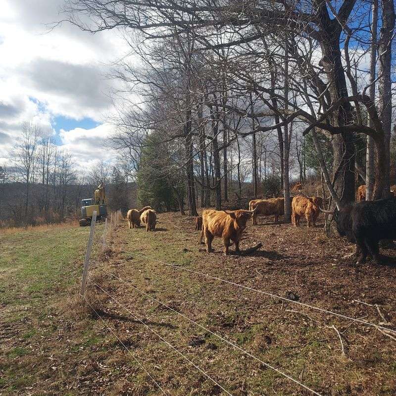 Paradise Family Farm, Boomer, NC
