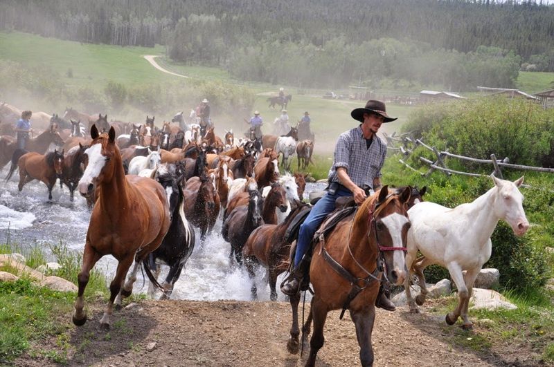 Paradise Guest Ranch, Buffalo, Wyoming Paradise Guest Ranch, Buffalo, Wyoming