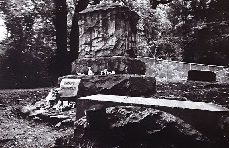 Paranormal Activity Reports Over The Years