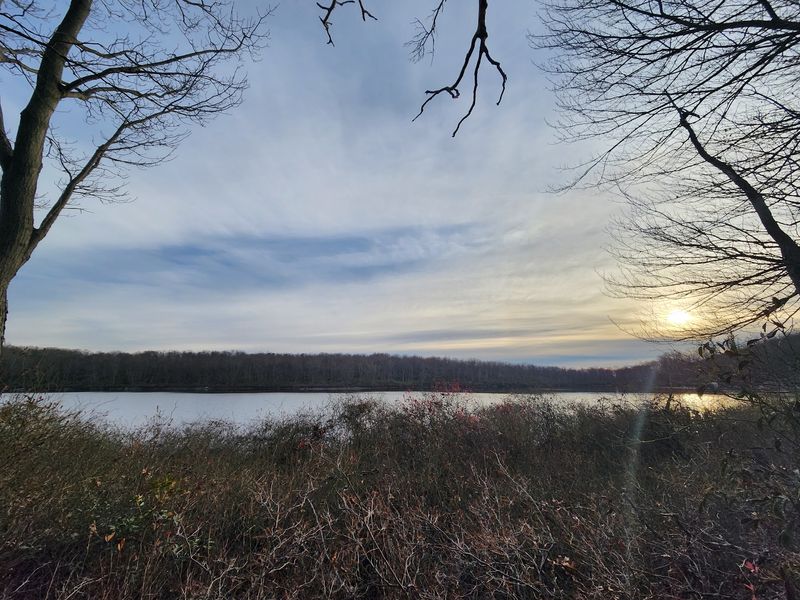 Parking, Timing, and Trail Basics