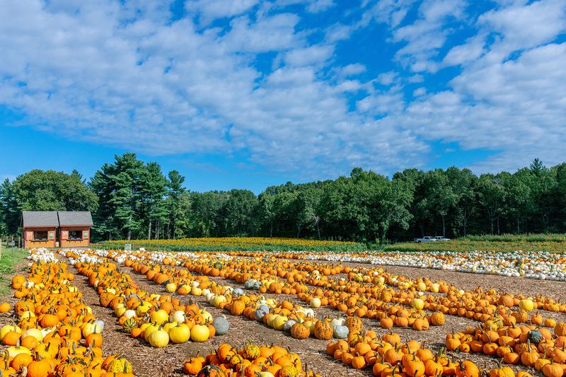 Parlee Farms, Tyngsborough, MA Parlee Farms, Tyngsborough, MA