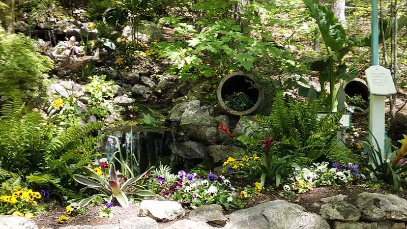 Parrot Mountain and Gardens, Pigeon Forge, TN Parrot Mountain and Gardens, Pigeon Forge, TN