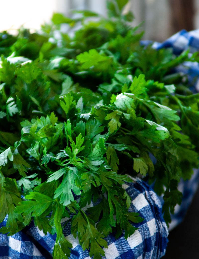 Parsley Parsley