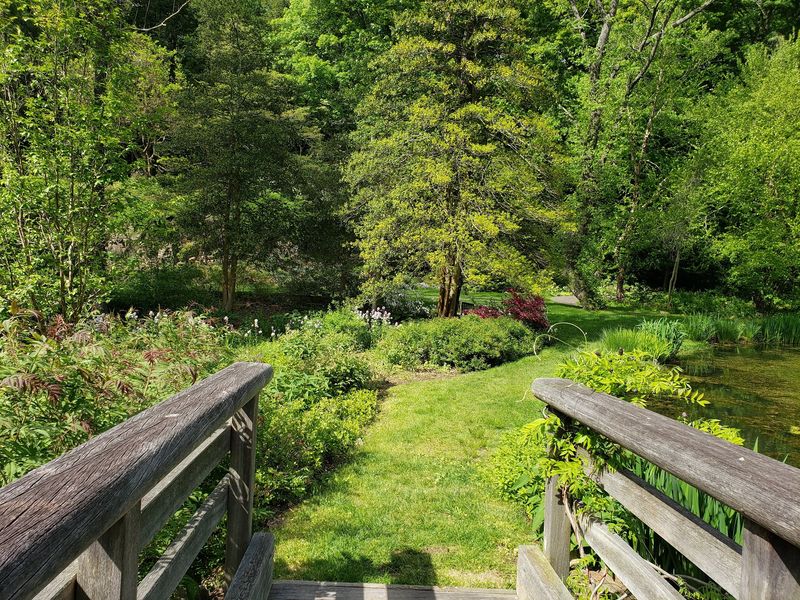 Paths With More Than One Pace
