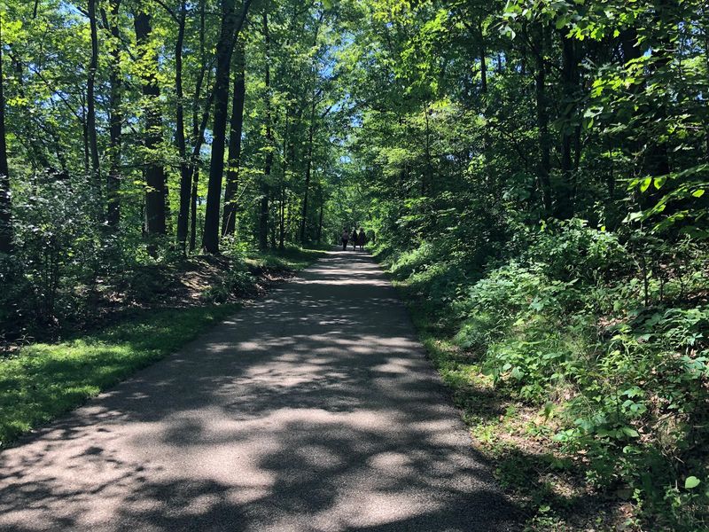 Paved Paths and Accessible Trails for Everyone Paved Paths and Accessible Trails for Everyone