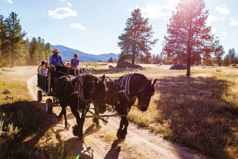 Paws Up Montana, Greenough, Montana Paws Up Montana, Greenough, Montana