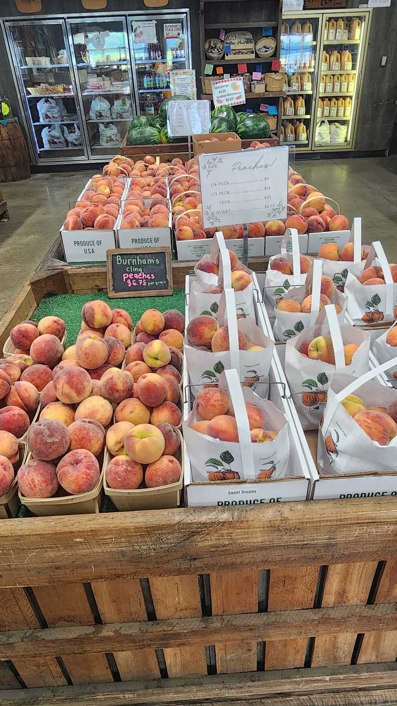 Peach Season and Beyond the Apple Rows