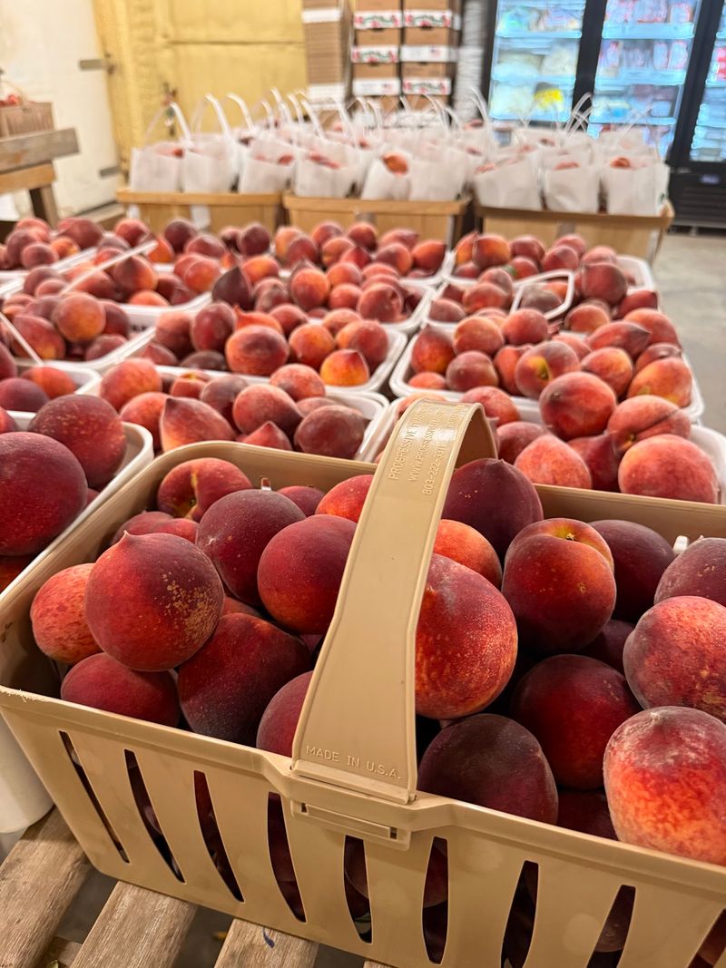 Peaches That Keep The Name On The Sign Peaches That Keep The Name On The Sign