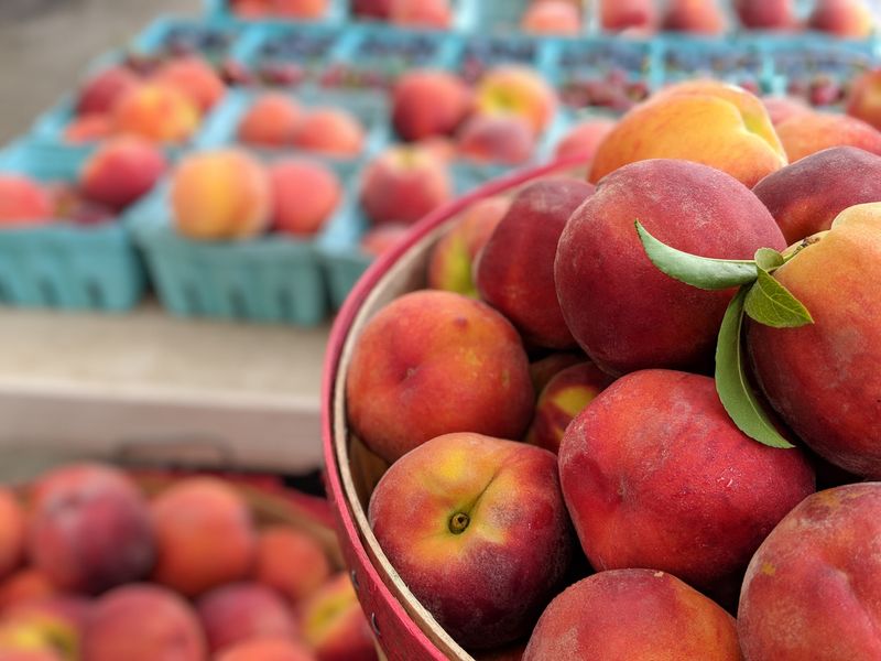 Peaches Worth the Drive Peaches Worth the Drive