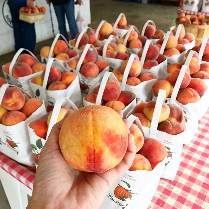 Peaches You Choose by Hand Peaches You Choose by Hand