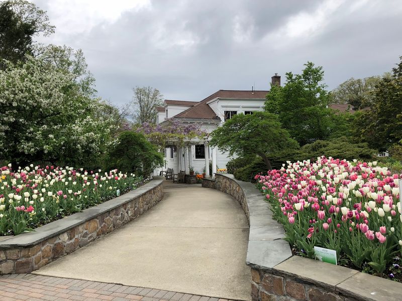 Photo-Worthy Grounds Without The Fuss