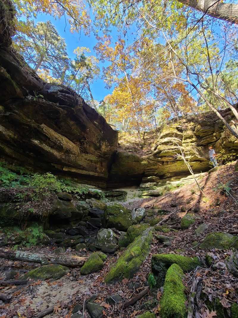 Pickle Springs Natural Area, New Offenburg, Missouri Pickle Springs Natural Area, New Offenburg, Missouri