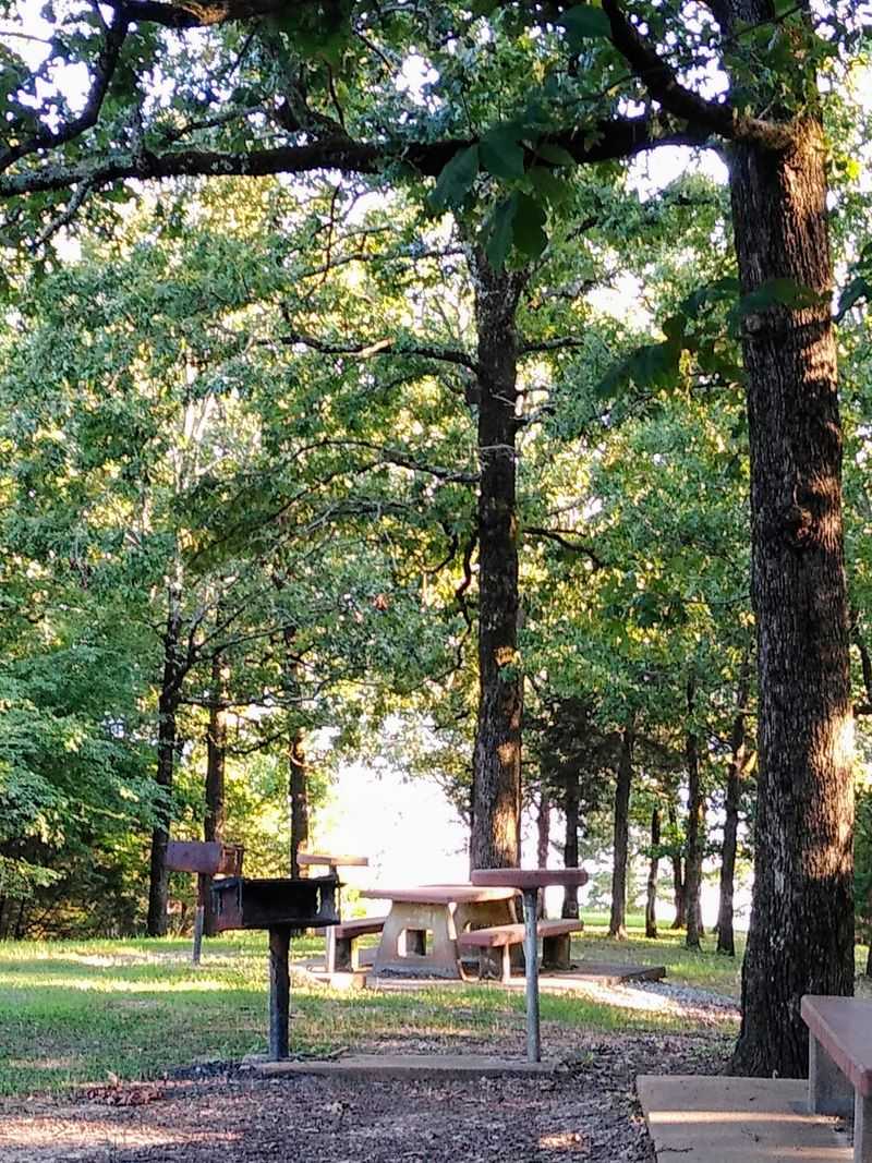 Picnic Spots and Pavilion Views Picnic Spots and Pavilion Views