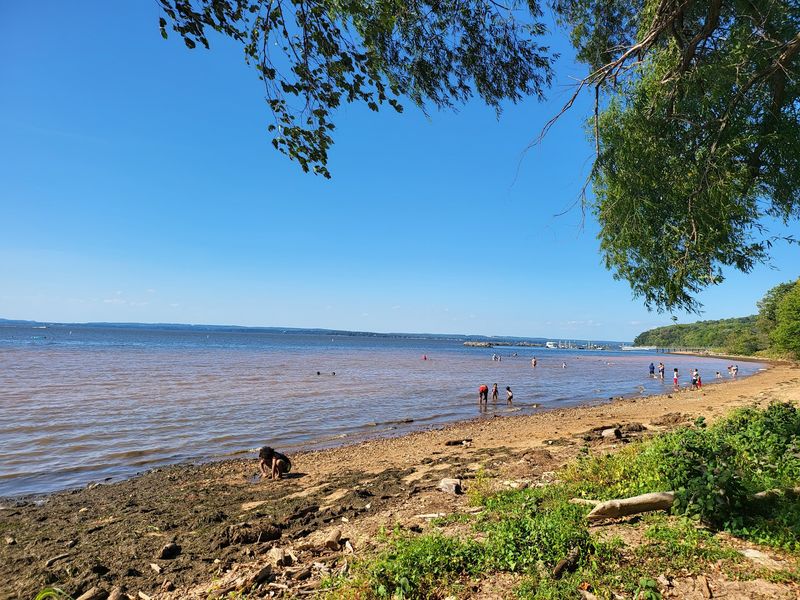 Picnic Spots and a Swing by the Water