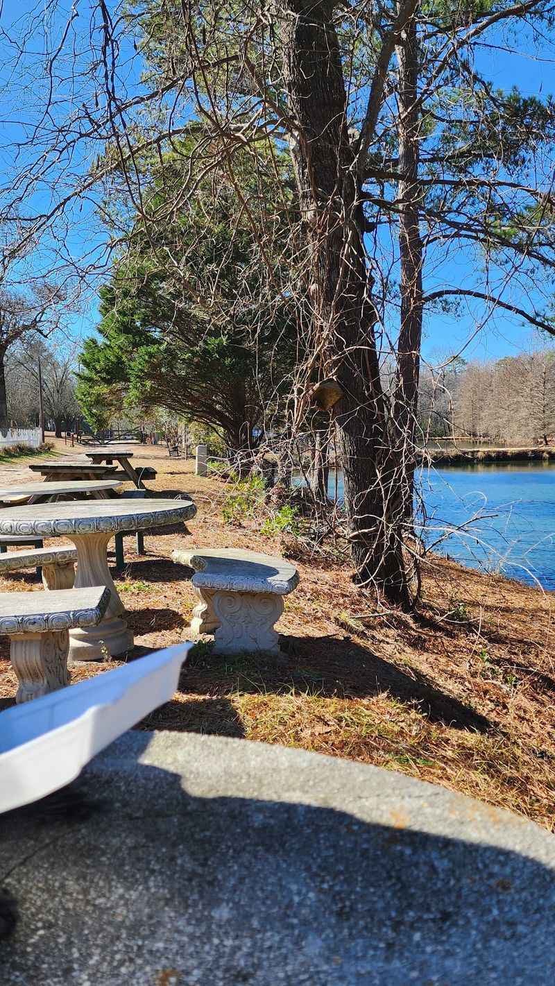 Picnic Tables Beside a Pond