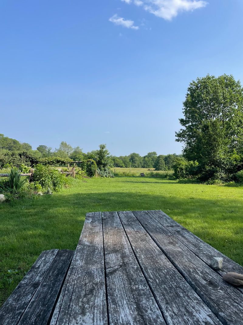 Picnic Tables, Meadow Walks, And Breathing Room Picnic Tables, Meadow Walks, And Breathing Room