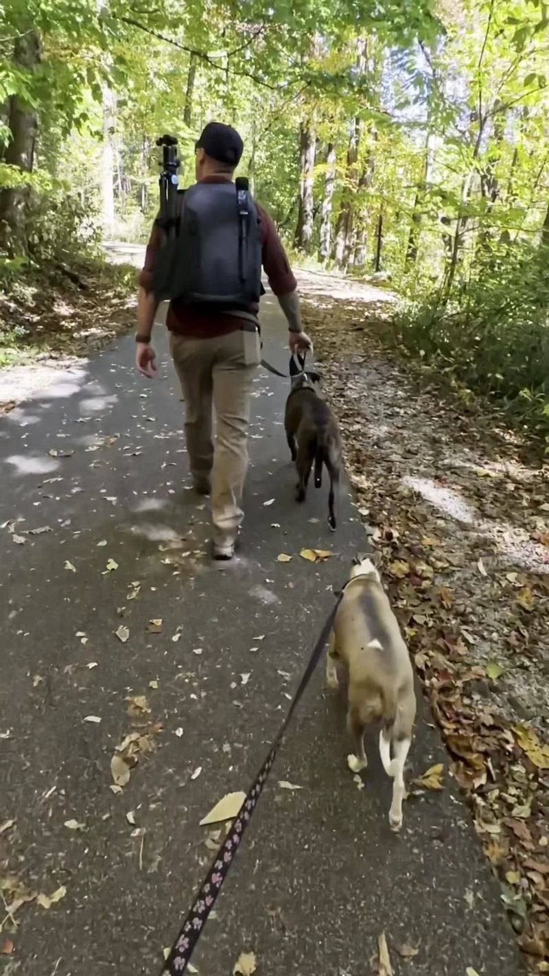 Picnic Tables, Pups, and Practical Comforts Picnic Tables, Pups, and Practical Comforts