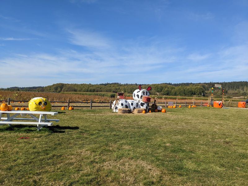 Picnic Tables With a View of the Farms