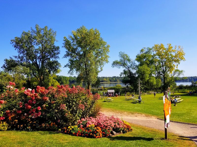 Picnic Tables by the Water With Live Music Picnic Tables by the Water With Live Music