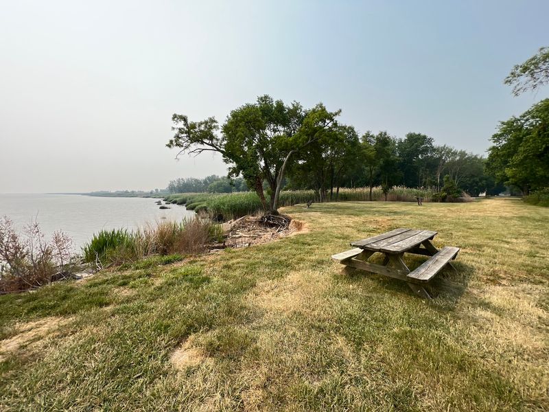 Picnicking with a View of the River Picnicking with a View of the River