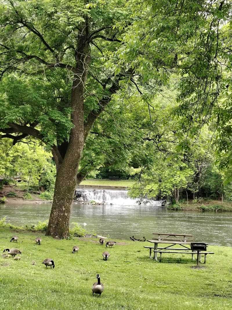 Picnics, Sports Fields, and All the Reasons Locals Keep Coming Back Picnics, Sports Fields, and All the Reasons Locals Keep Coming Back