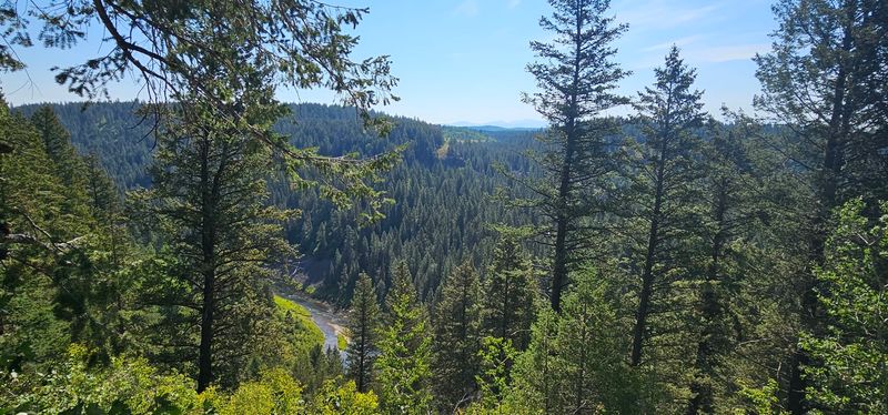 Pine Creek Pass and the Forest That Frames Everything Pine Creek Pass and the Forest That Frames Everything