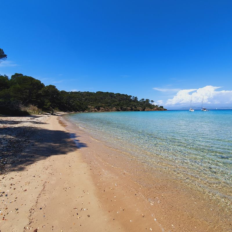 Plage Notre-Dame, Porquerolles, Provence Plage Notre-Dame, Porquerolles, Provence