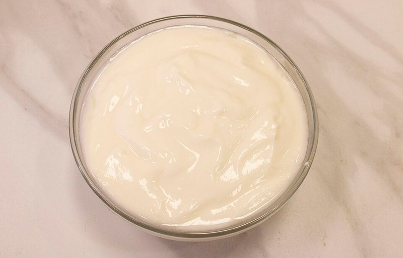 Plain Yogurt with Live Cultures Plain Yogurt with Live Cultures