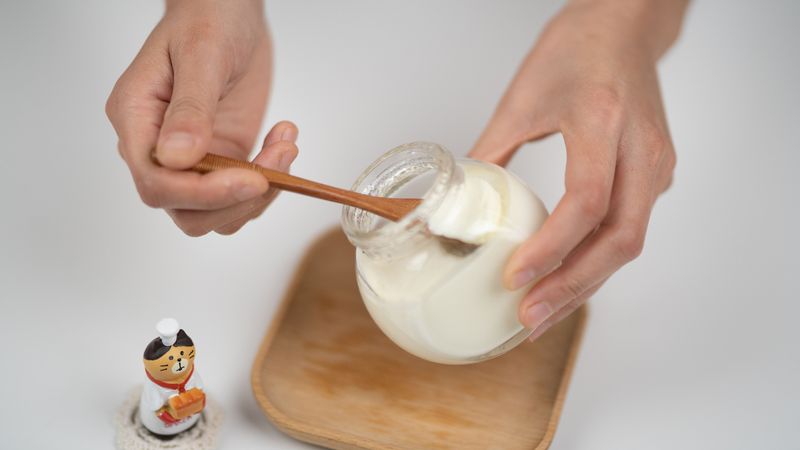 Plain Yogurt Plain Yogurt