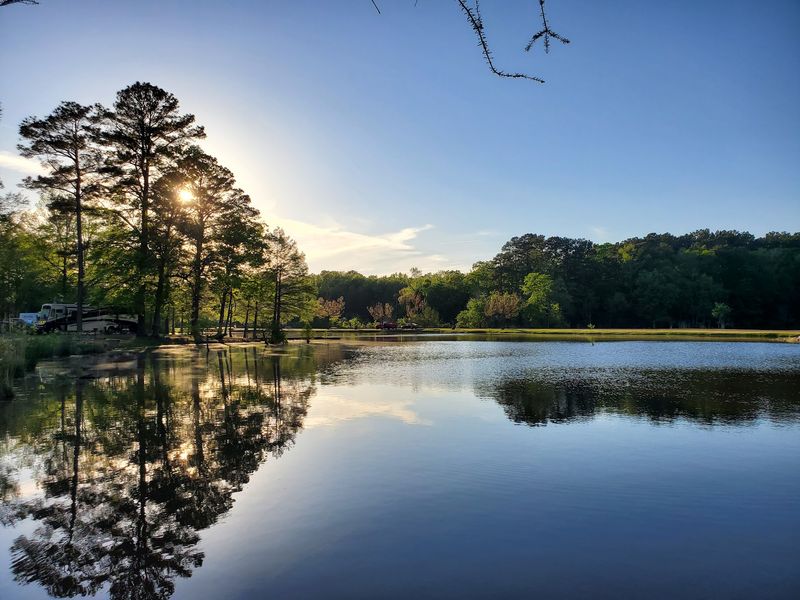 Planning Your Visit: Practical Tips for Getting the Most Out of the Park Planning Your Visit: Practical Tips for Getting the Most Out of the Park