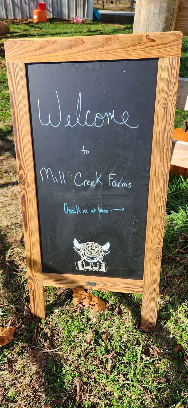 Planning Your Visit The Right Way